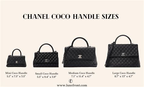 chanel coco elaphe|Chanel Coco Handle: 2024 Complete Guide & Review (Prices.